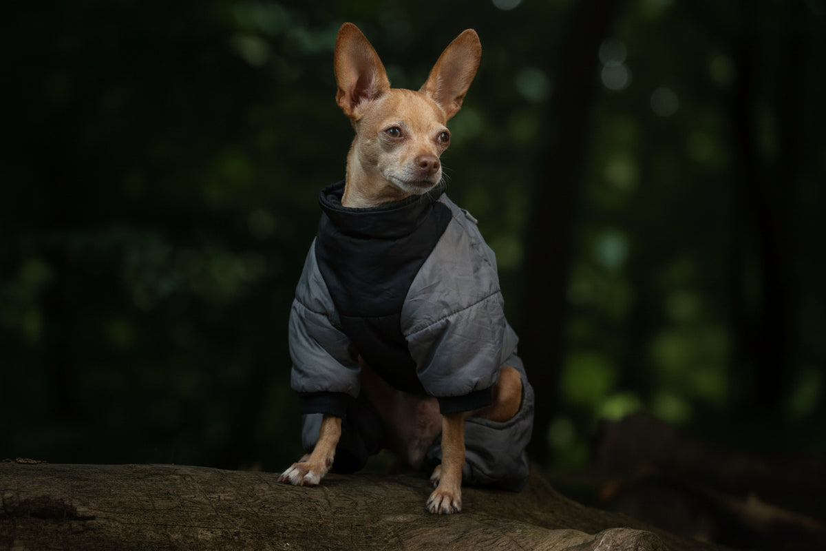 Wasserdichter Winter-Hundeoverall