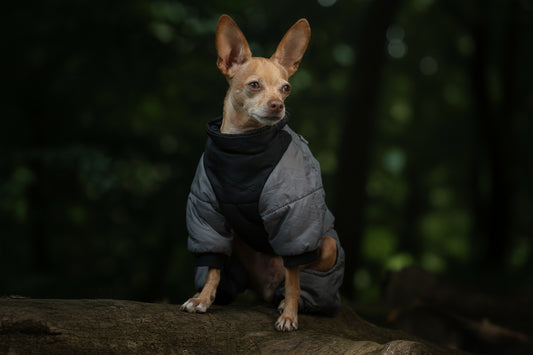 Wasserdichter Winter-Hundeoverall