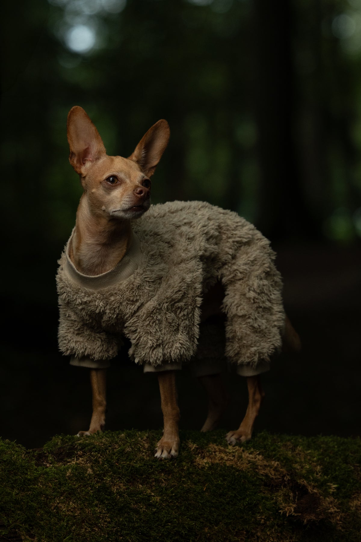 Kuscheliger Hunde-Overall «FluffyPaws» mit D-Ring