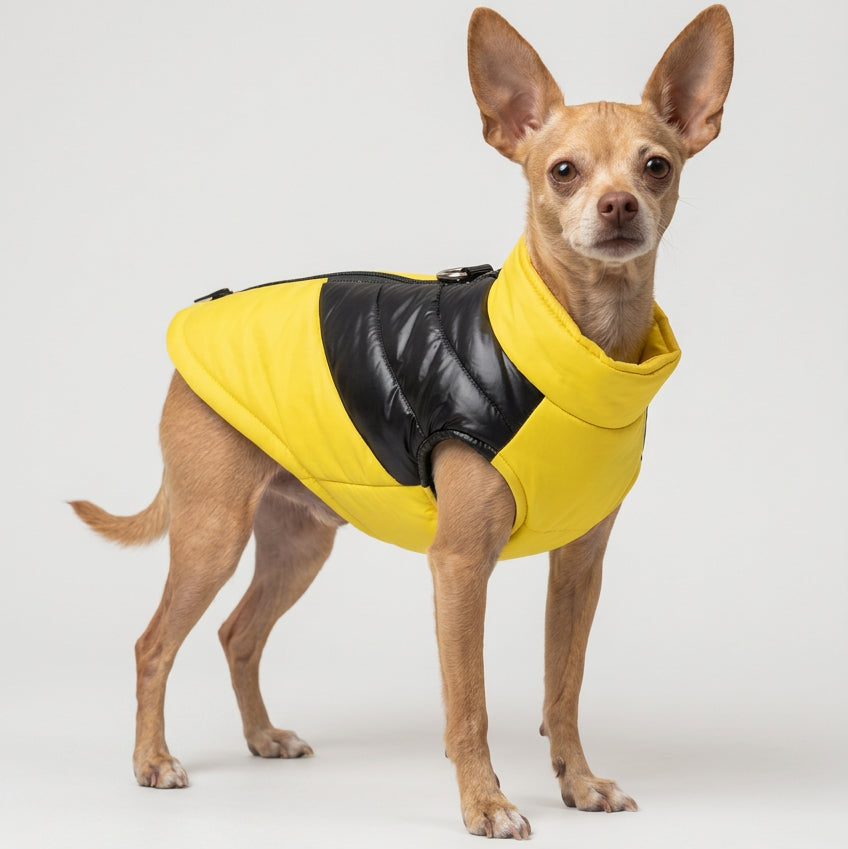 Wasserdichte Hunde-Winterweste mit Geschirr