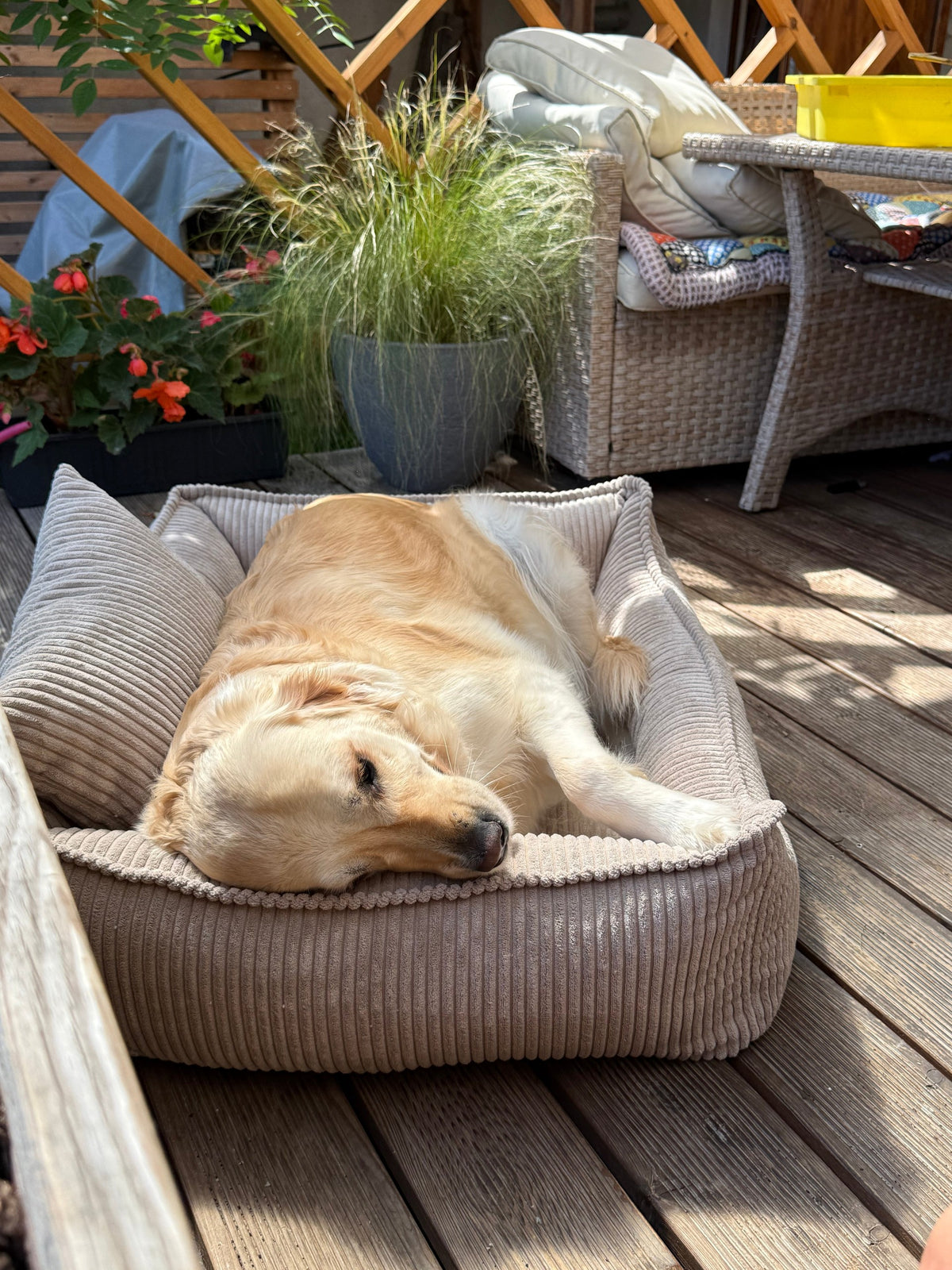 Lodie Corduroy Memory Foam Dog Sofa – Grey, L